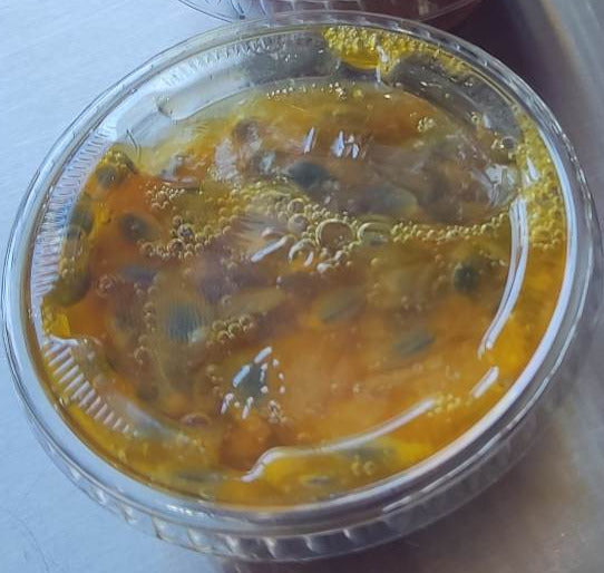 Coulis Mangue passion & Fruits rouges